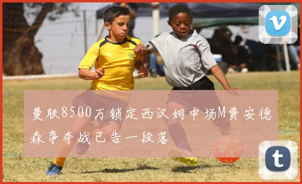 曼联8500万锁定西汉姆中场M费安德森争夺战已告一段落